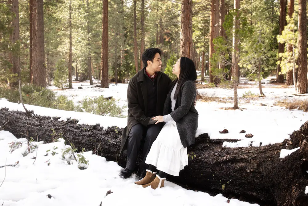 Sitting in a tree